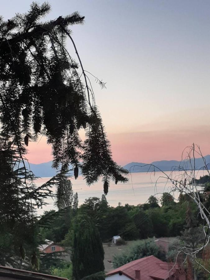 Villa Karolina Ohrid Esterno foto