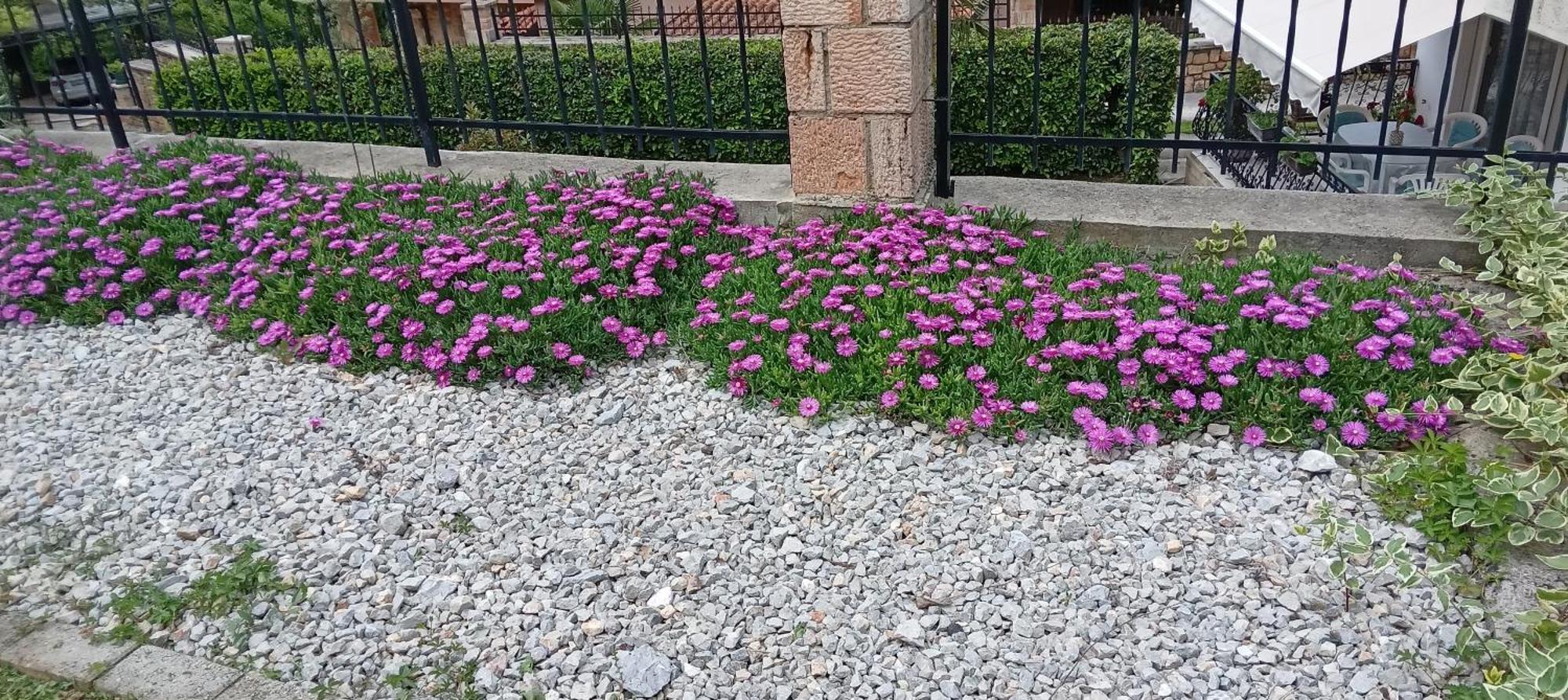 Villa Karolina Ohrid Esterno foto